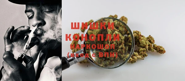 прущие грибы Алзамай