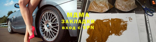 прущие грибы Алзамай