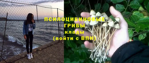 спайс Алексеевка