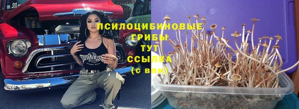 дмт Алексин
